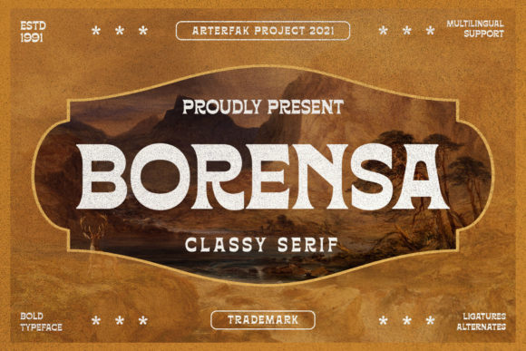 Transforming Your Visual Identity with the Borensa Font